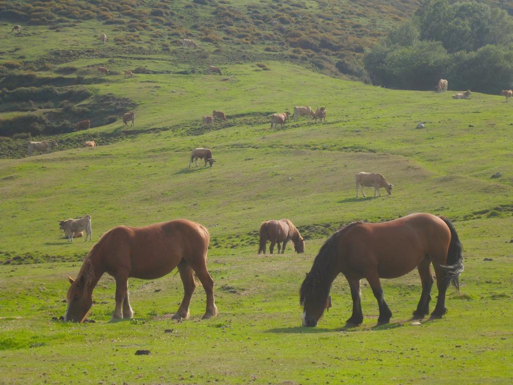 Casa Rural La Retuerta Nava Buitenkant foto