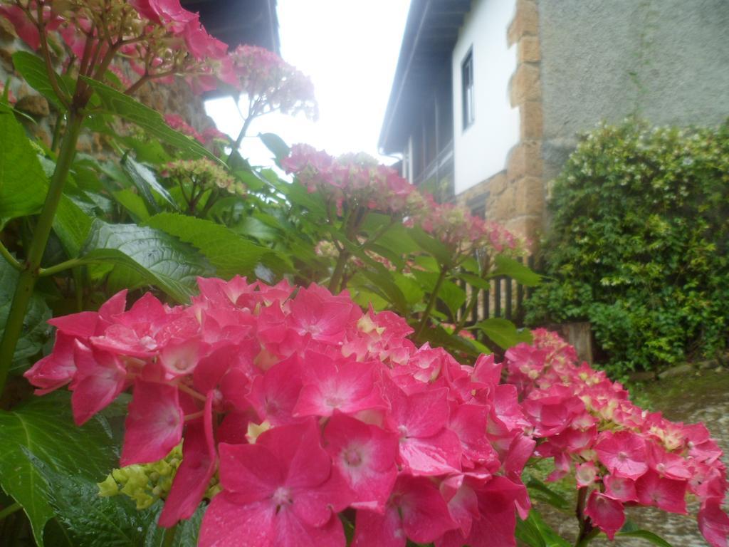 Casa Rural La Retuerta Nava Buitenkant foto